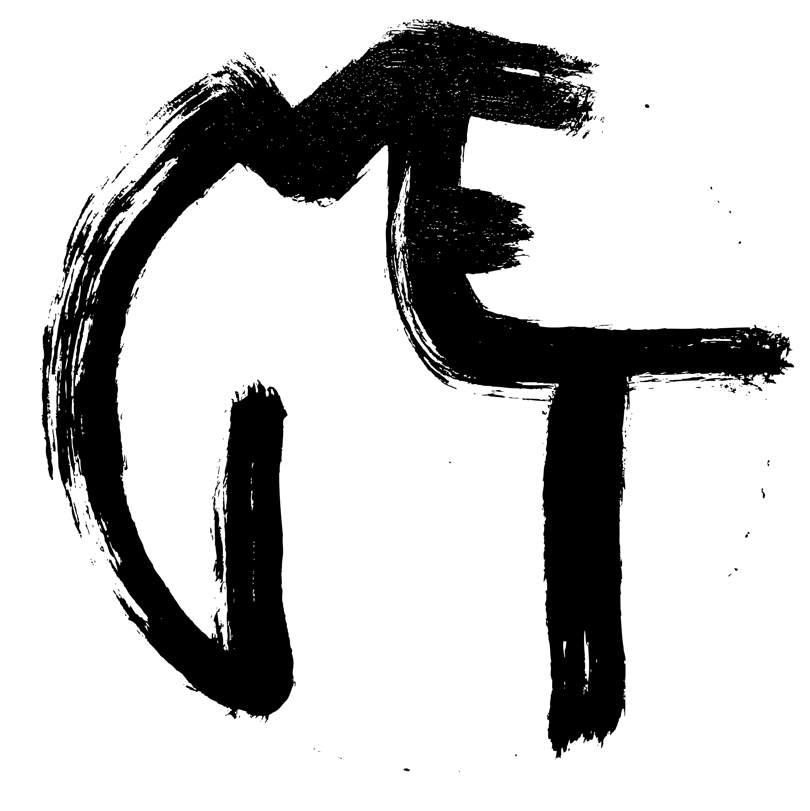 Markus Elmer IT Logo